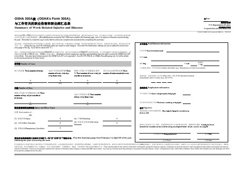 美国劳动部职业伤害职业病记录汇总报告