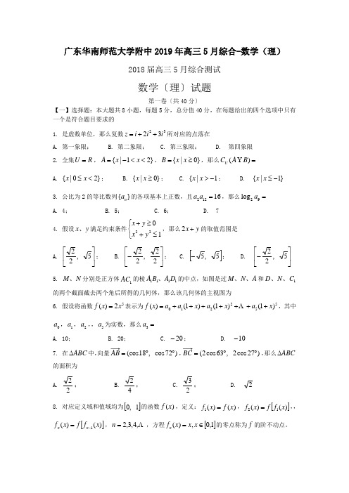 广东华南师范大学附中2019年高三5月综合-数学(理)