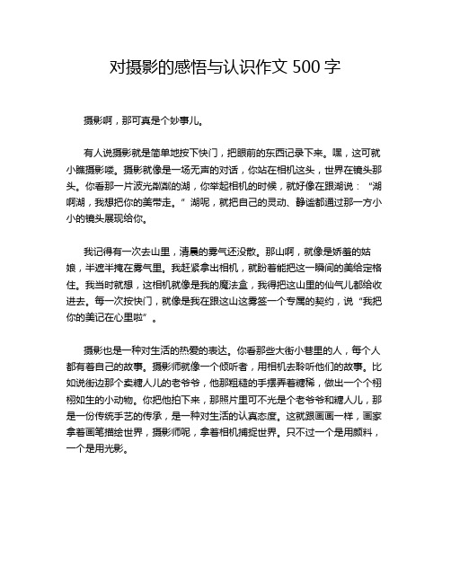 对摄影的感悟与认识作文500字