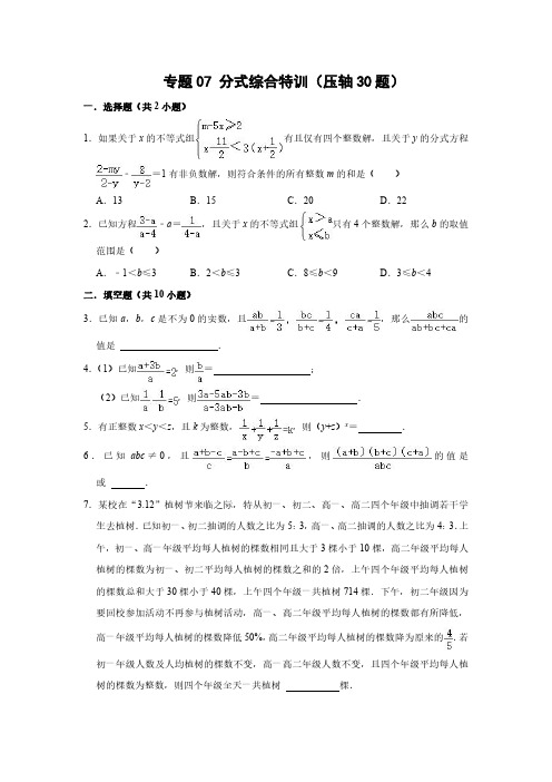 八年级数学下册  分式综合特训(压轴30题)(原卷版)