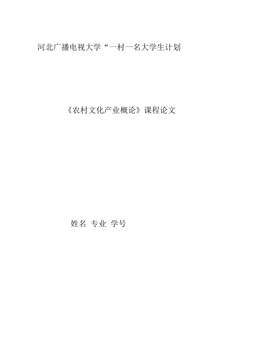 《农村文化产业概论》课程论文