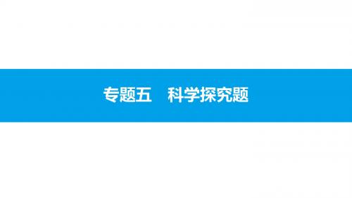 2018年安徽省中考化学专题突破复习课件：专题五 科学探究题 (共85张PPT)