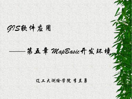 第五章 MapBasic开发环境