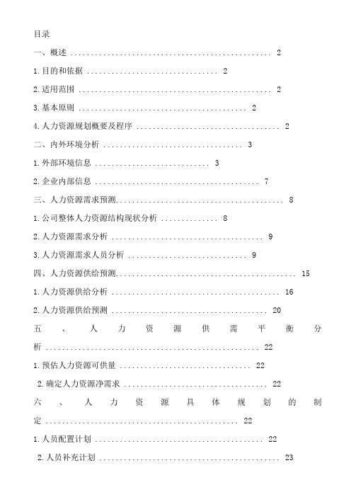 大型公司人力资源规划