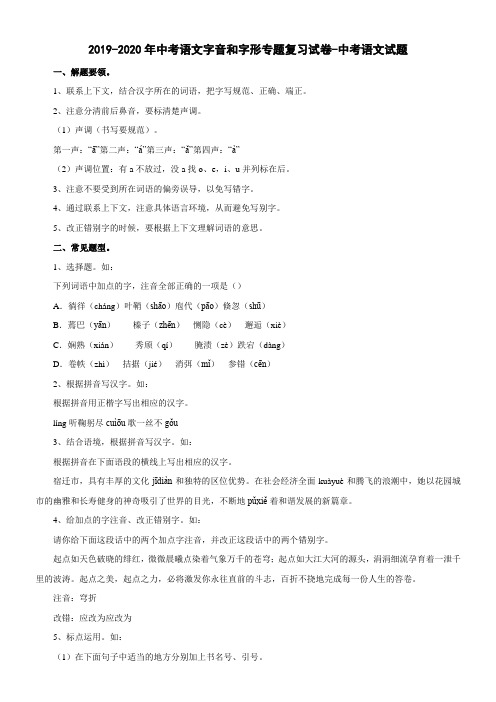 2019-2020年中考语文字音和字形专题复习试卷-中考语文试题