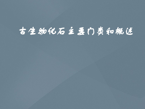 古生物化石主要门类和概述