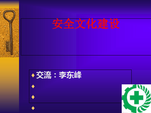 安全文化建设方案(PPT 46张)