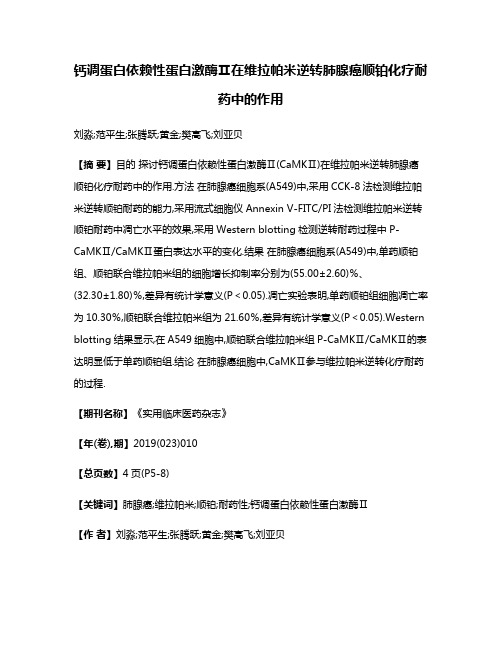 钙调蛋白依赖性蛋白激酶Ⅱ在维拉帕米逆转肺腺癌顺铂化疗耐药中的作用