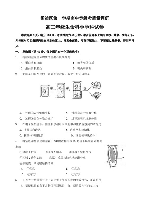 上海市杨浦区高三上学期期末考质量调研(一模)生命科学试卷(有答案)-名校密卷