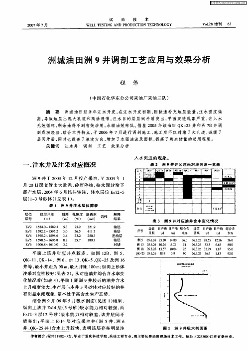 洲城油田洲9井调剖工艺应用与效果分析