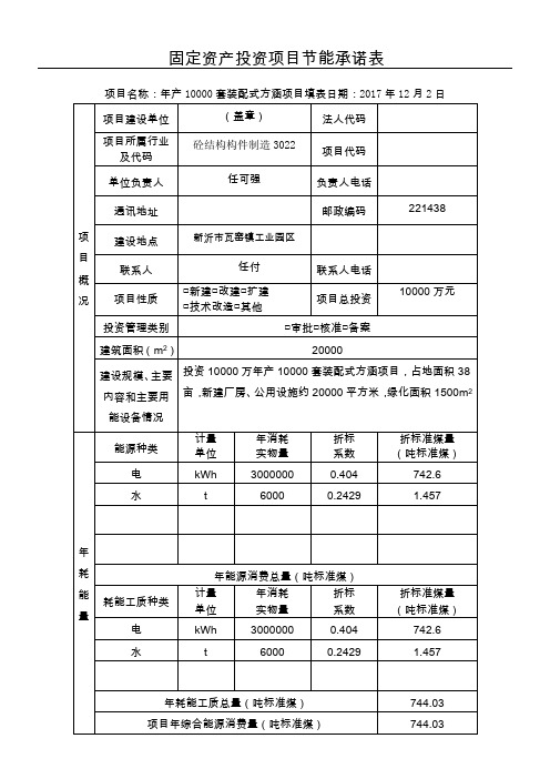 固定资产投资项目节能承诺表格