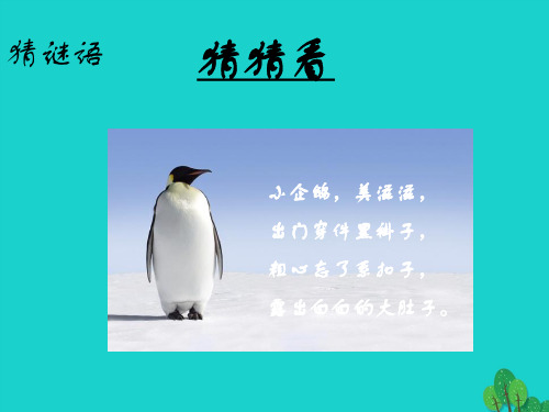 七年级地理下册 7.5 极地地区课件 (新版)商务星球版