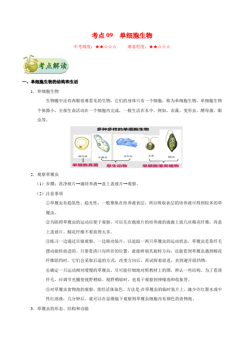 考点09 单细胞生物-备战2021年中考生物考点一遍过