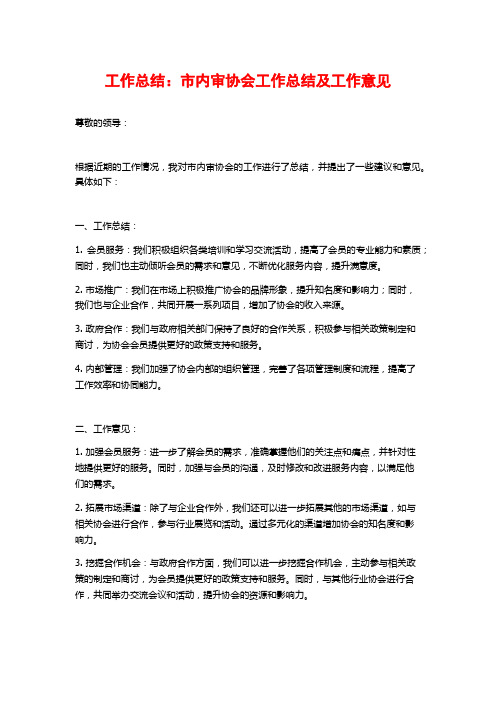 工作总结：市内审协会工作总结及工作意见 (2)