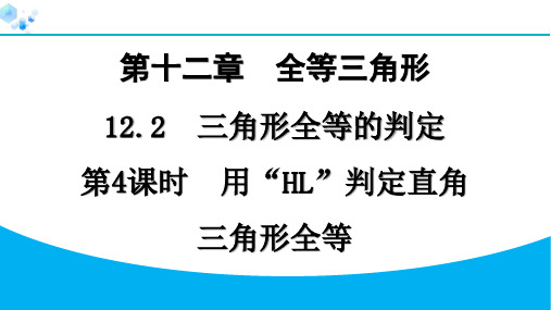 第4课时 用“HL”判定直角三角形全等【课课练】八年级上册人教版数学