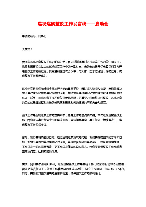 巡视巡察整改工作发言稿——启动会