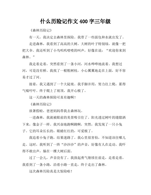 什么历险记作文400字三年级