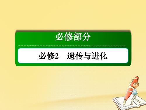 2018届高三生物一轮复习课件 必修2 遗传与进化 第5章 基因突变及其他变异 2-5-3