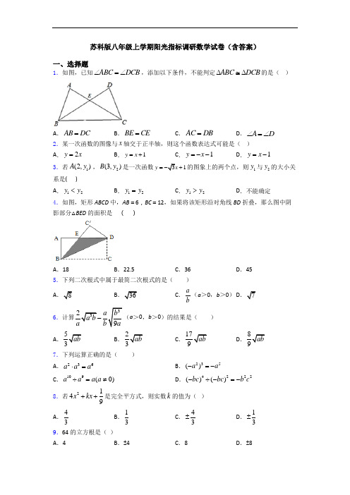 苏科版八年级上学期阳光指标调研数学试卷(含答案)