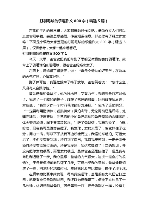 打羽毛球的乐趣作文800字（精选5篇）