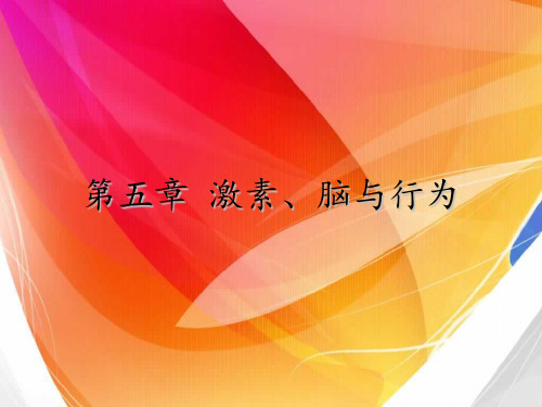 生理心理学第五章