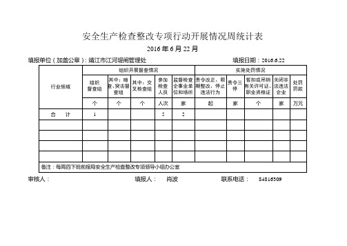 安全生产检查整改专项行动开展情况周统计表7