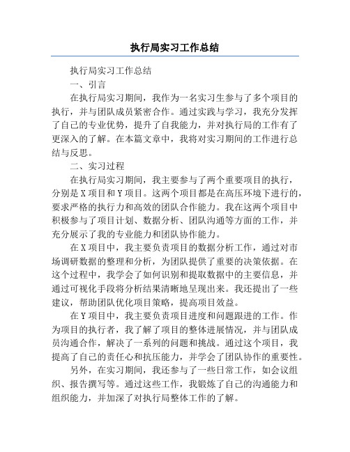 执行局实习工作总结