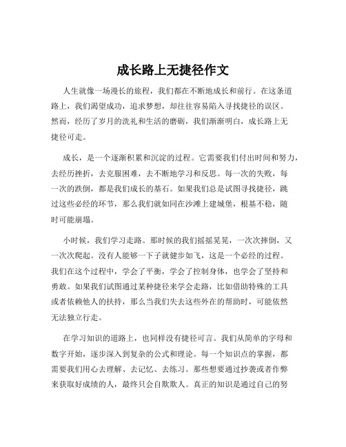 成长路上无捷径作文