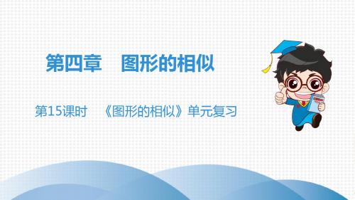 北师大版数学九年级上册课件：第4章 第15课时 《图形的相似》单元复习