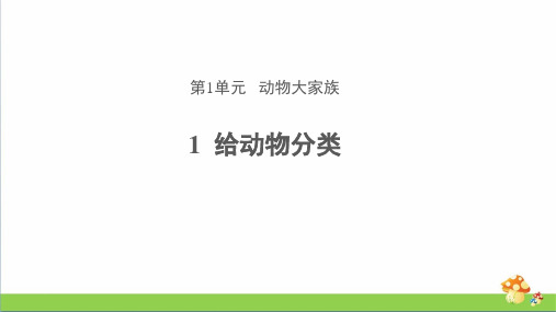 苏教版四年级上册科学1 给动物分类 教学课件