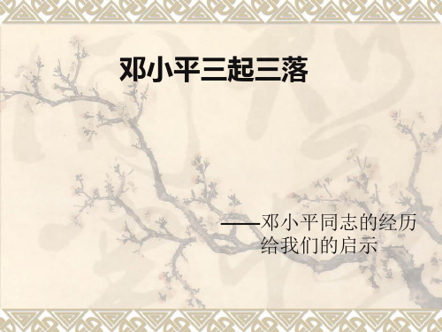 邓小平同志的经历给我们的启示PPT