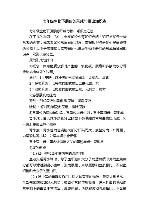 七年级生物下册尿的形成与排出知识点