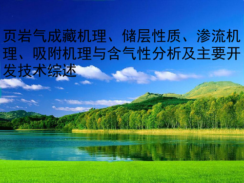 页岩气研究综述 - 成藏机理、储层性质、渗流机理、吸附机理、含气性分析及主要开发技术