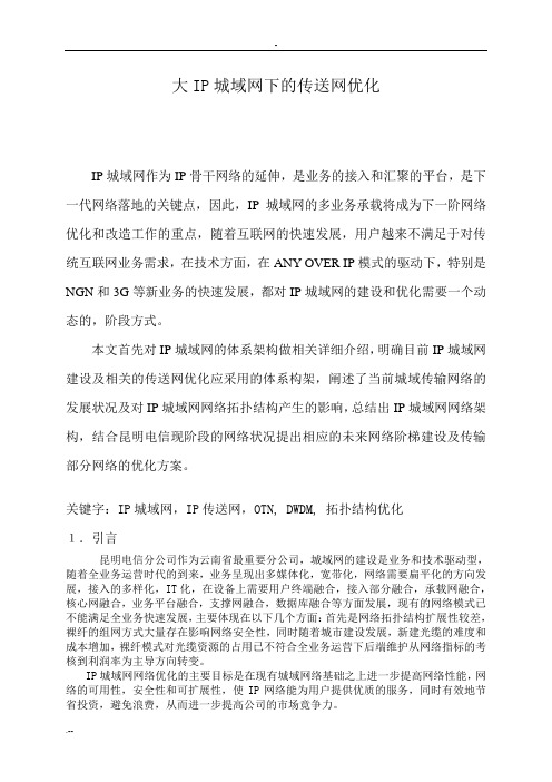 大IP城域传送网优化