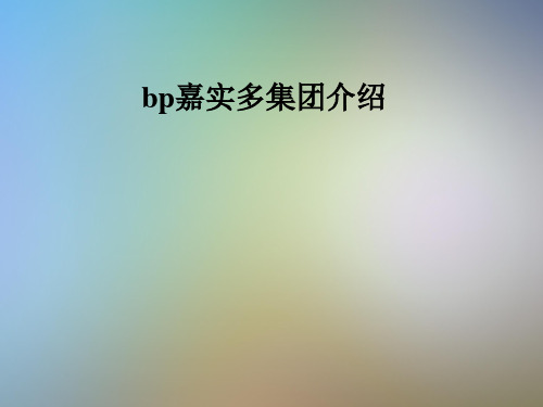 bp嘉实多集团介绍