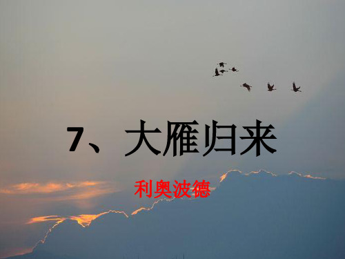 初中语文人教版(部编)八年级下册7 大雁归来 (12)