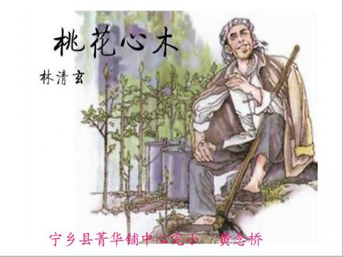 3《桃花心木》ppt课件1