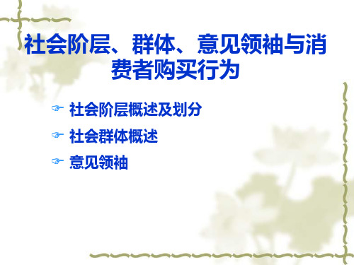 社会阶层、群体、意见领袖与消费者购买行为