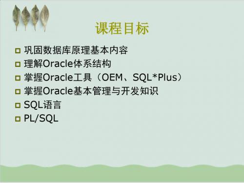 Oracle数据库系统教程PPT课件( 41页)