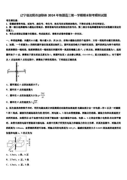 辽宁省沈阳市郊联体2024年物理高三第一学期期末联考模拟试题含解析