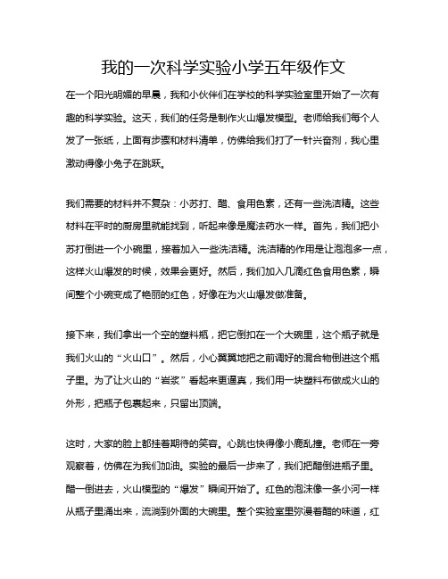 我的一次科学实验小学五年级作文