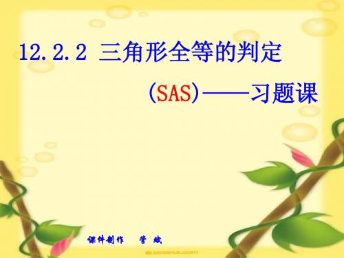 12.2.2 三角形全等的判定SAS—习题课