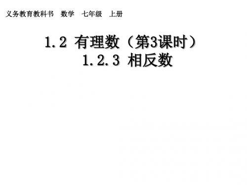 天津市宝坻区新安镇第一初级中学新人教版七年级上册：