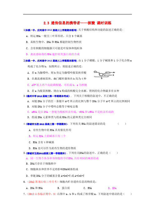 高三生物一轮复习 分子与细胞 2.3 遗传信息的携带者—核酸课时训练 新人教版