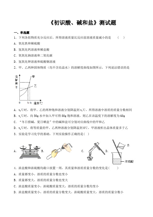 仁爱版化学九年级下册专题7《初识酸、碱和盐》测试题(含答案)