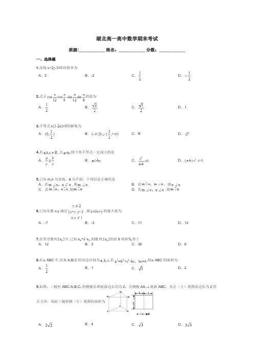 湖北高一高中数学期末考试带答案解析
