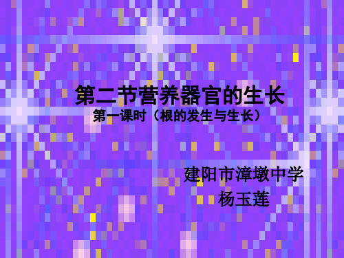 根的发生和生长.ppt