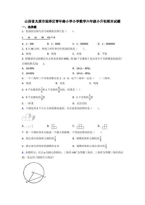 山西省太原市迎泽区青年路小学小学数学六年级小升初期末试题