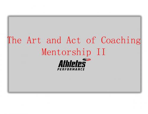 Mentorship 2-Art of Coaching 2011