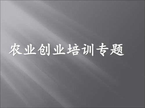 农业创业案例分析新ppt课件